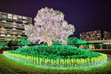 🌳 치바 시 중앙공원(지바시 주오코엔) 이미지 2